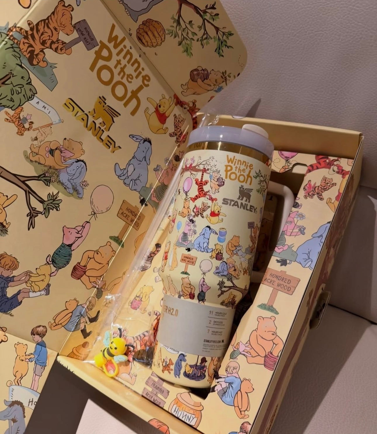 Winnie The Pooh Stanley