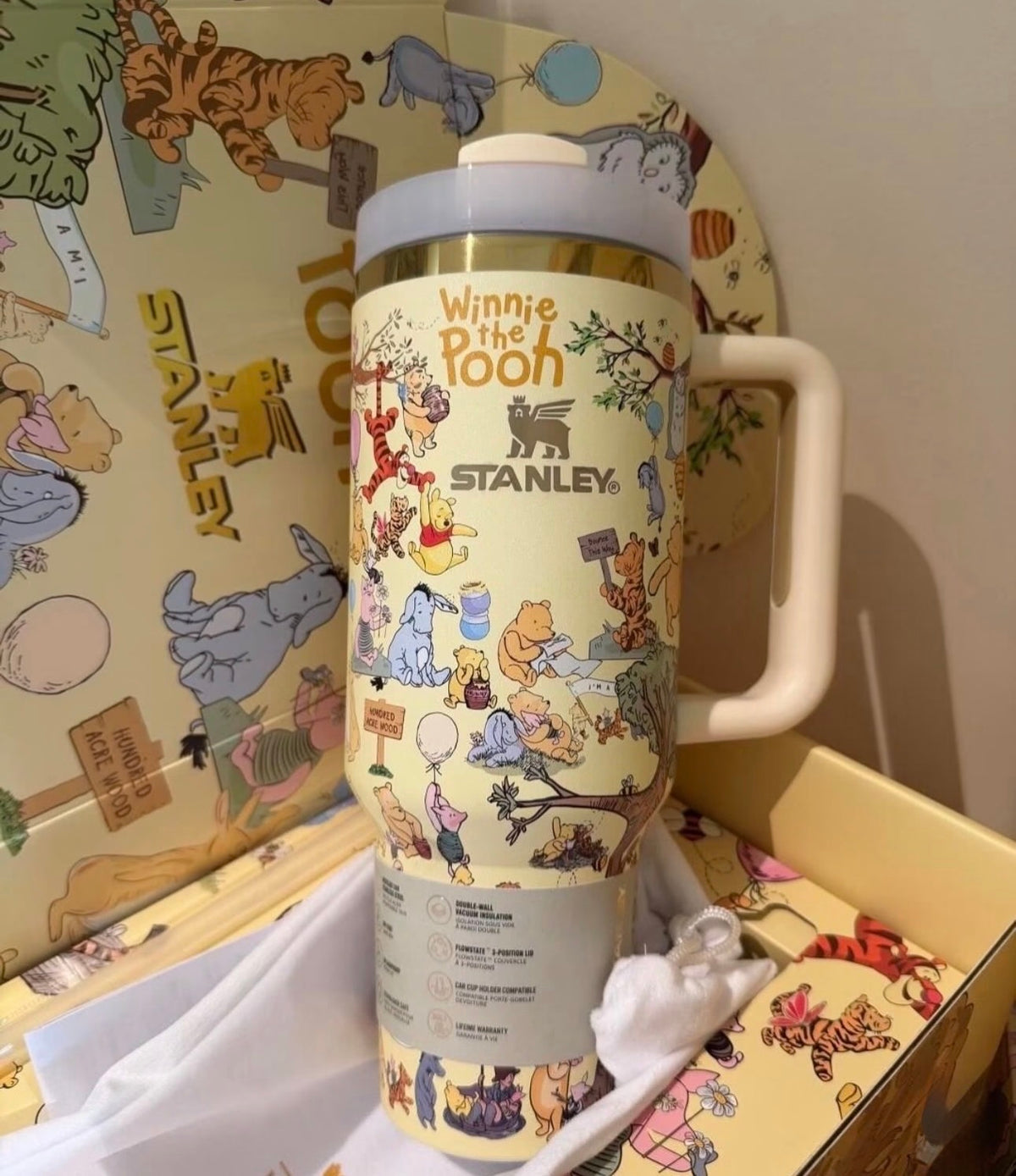 Winnie The Pooh Stanley