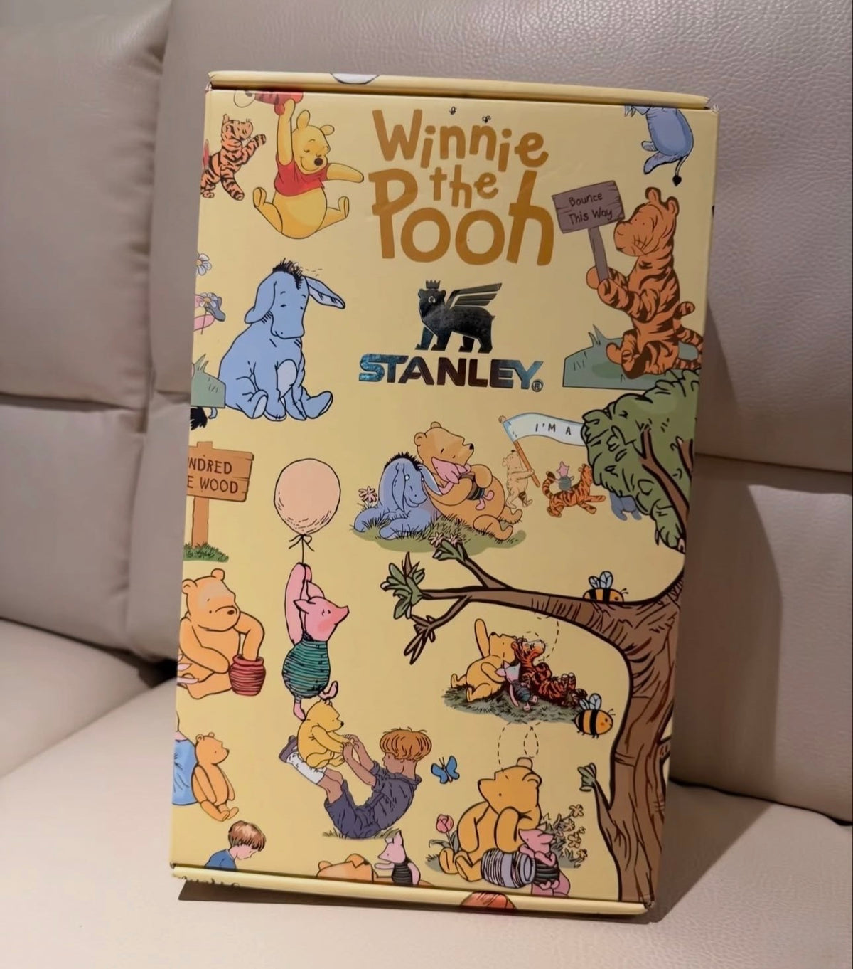 Winnie The Pooh Stanley