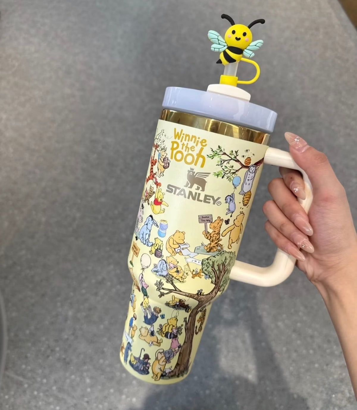 Winnie The Pooh Stanley